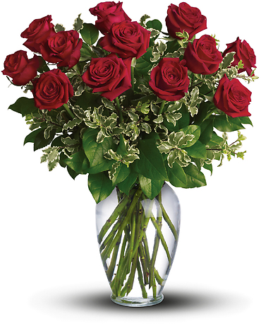 12 Long Stemmed Red Roses