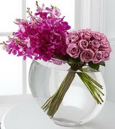 Roses n\' Orchids