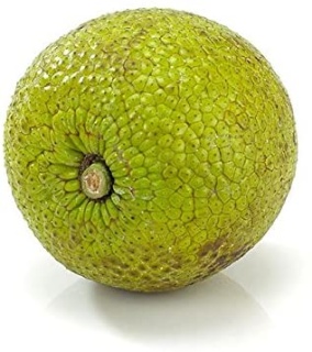 Breadfruit