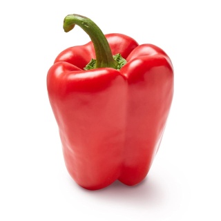 Bell Pepper |Red|Per Lbs.|