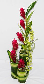 Tropical Bamboo Arrangement