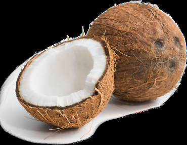 Coconut |Dry|2 x units|