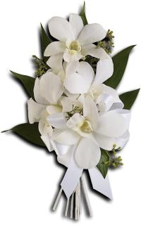 Graceful Orchids Corsage