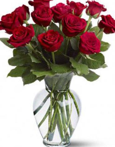 12 Red Roses