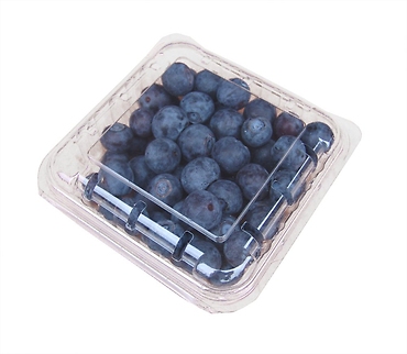 Blueberries |1 punnet|