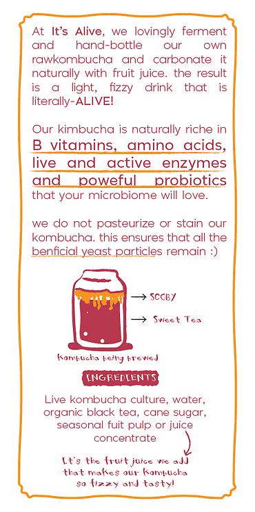 Kombucha |West Indian Cherry 750ml|