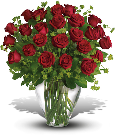 My Perfect Love - 2 Dozen Long Stemmed Premium Red Roses